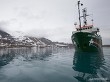greenpeace.org